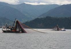 Karadeniz'de deniz suyu sıcaklığı 2 derece arttı! 'Balık türleri azalıyor'