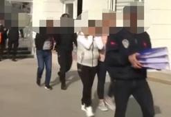 İller arası cinsel ilişki ağı!