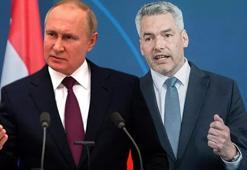 Avusturya Başbakanı Putin'in yüzüne açık açık söyledi: İki taraf da kaybetti!