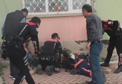 Antalya'da ele geçirildi! Piyasa değeri 6 milyon TL...nargiler