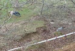 Kayınpeder ile gelini bu halde bulunmuştu! Sebebi belli oldu