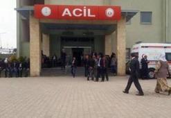 İdil'de çobanların arazide bulduğu cisim patladı: 2 kardeş yaralı