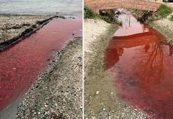 Tekirdağ'da tedirgin eden görüntü! Dere kırmızıya büründü, belediye açıkladı