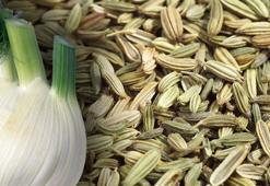 Tansiyon ve kolesterolü düşürüyor, vitamin, mineral ve protein deposu! Alzheimer, kalp krizi, kronik hastalıklar...