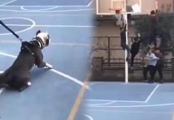 Pitbull ile şaka basketbol sahasındaki çocuklara dehşeti yaşattı