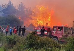 Hatay'daki orman yangınını söndürme çalışmalarına vatandaşlar da destek veriyor