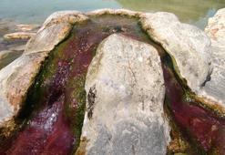 Turizmci umudunu sağlık turizmine bağladı