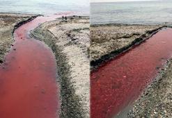 Kamara Deresi'ni kirleten tesis süresiz kapatıldı! Firmaya milyonluk ceza