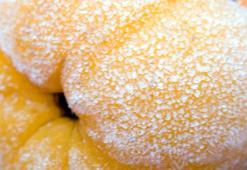 Cinsel arzuyu kuvvetlendiriyor, tansiyonu düşürüyor, kalbi güçlendiriyor! Suyunu içen kolay doğum yapıyor! Çekirdeği, yaprağı ve kabuğu da her derde deva...