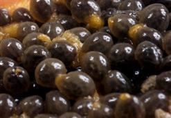 Kan şekerini dengede tutuyor, vitamin, mineral ve antioksidan bakımından çok zengin! Kanser, şeker hastalığı, kolesterol, kalp...