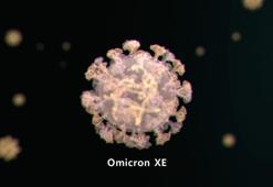 Koronavirüs yeni varyantı Omicron XE belirtileri ne? Omicron XE bulaşıcı mı? Aşılar yeni varyantta etkili mi?