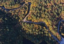 Yaz ayı yaklaşırken flaş karar! 'Zorundayız' dedi ve açıkladı: Yasaklayacağız