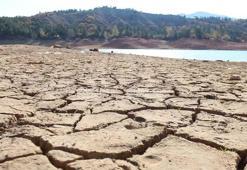 İklim değişikliği nedir, nedenleri nelerdir, nasıl önlenir? Google’da doodle olan küresel iklim değişikliği sonuçları, etkileri…