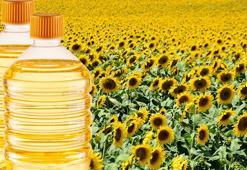 Ayçiçeği açıklaması! Yeniden tersine döndü, fiyatları ikiye katladı...