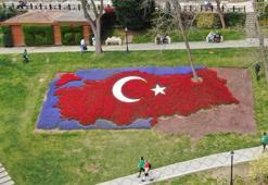 İstanbul'da lale şöleni