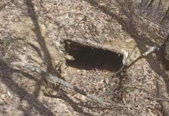 Tunceli’de Eren Kış-23 operasyonu: 5 sığınak imha edildi