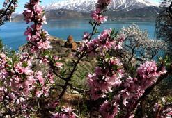 Çiçeklerle kaplanan Akdamar Adası'na fotoğrafçı akını