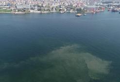 Marmara Denizi'nde felaket geri dönüyor! Müsilaj kusuyor