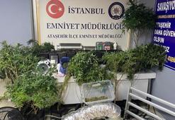 Ataşehir'de rezidanstaki daireyi uyuşturucu serasına çevirdiler