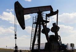 Petrol ve doğal gaz keşfi ile ilgili flaş açıklama! Günlük 3 bin 300 varil