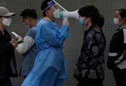 H3N8 virüsü insana bulaştı! Ülkeden resmi açıklama geldi, en belirgin semptomu...