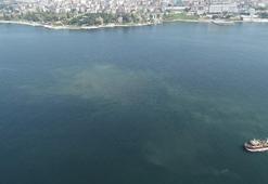 Marmara’da korkutan görüntü Müsilaj hızla yayılıyor...