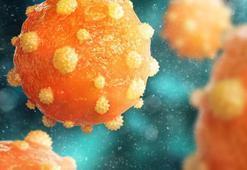 'Gizemli hepatit' açıklaması: Kovid-19 gibi yayılma beklemiyoruz
