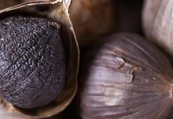 Alzheimer, kanser, diyabet, tansiyon, kolesterole karşı savaşçı, beyazından 2 kat daha fazla etkili! Mısır piramitlerinin sırrı olarak da biliniyor...