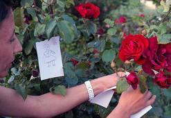 Hıdırellez şenlikleri ne zaman, nerede yapılacak? İşte Hıdırellez etkinlik programı!