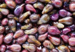 İltihabı söküp atıyor! Akciğerleri temizliyor, nefes darlığı, öksürük ve hırıltıyı anında kesiyor, kontrolsüz kanser hücrelerinin oluşumunu engelliyor, günde bir tane...