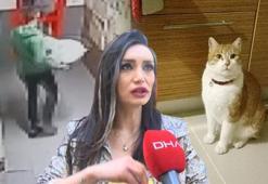 Komşusunun kedisini kutuya koyup arsaya attı! 'Bunu bir eğitimcinin yapmış olması bizi derinden yaraladı'
