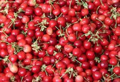 Kiraz fiyatları düştü! 'Ürün çok, 10 TL’ye kadar geriler'