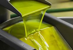 Sahte zeytinyağı ile ilgili son dakika uyarısı! Tehlike saçıyor, ölüme neden oluyor...