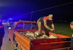 Van'da kaçak avlanan 1 ton inci kefali ele geçirildi