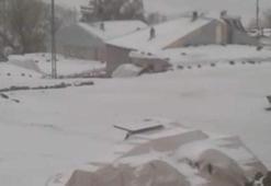 Kar yağışı etkili oldu! Görenler inanamadı, yaz geldi derken...