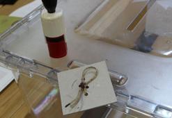 AK Parti'nin oy oranını açıkladı! İşte Cumhurbaşkanı Erdoğan'ın masasındaki rakamlar