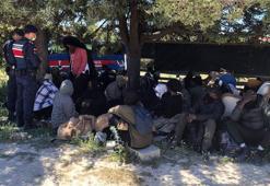 İzmir'de 63 kaçak göçmen yakalandı