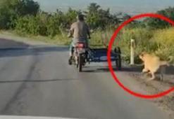 Köpeğini motosikletin arkasına bağlayıp koşturdu! Skandal anlar