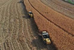 Tarımsal destek ödemeleri ne zaman yatacak, bugün yattı mı? Tarımsal destek ödemeleri sorgulama!