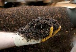 Çaya zam geldi mi, ÇAYKUR kuru çay zammı var mı 19 Mayıs 2022? Çay fiyatları ne kadar? Çay zammı ile yeni Tiryaki, Rize, Filiz, E.Grey, Altınbaş çay fiyatları