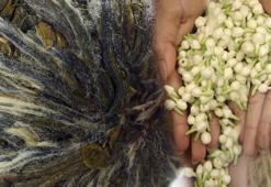 Erkeklerde cinsel isteği ve performansı artırıyor! Kalp atış hızını düzenliyor, egzama ve sedef hastalığına iyi geliyor...