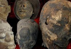 İzmir'de evde bulunan 'tsantsa'lar dikkat çekmişti! İade edilecek