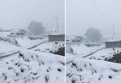 Kar yağışı fena vurdu! Mayıs ayında kış geri geldi, kar kalınlığı...