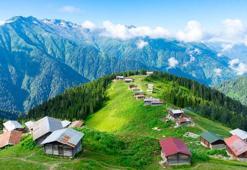 İllerin en meşhur ürünleri! İşte Türkiye'ye ürettikleri tarım ürünleriyle damga vuran şehirler...