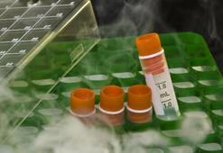 Kuru buz nedir, ne işe yarar? Kuru buz nerelerde kullanılır?