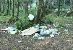 Belgrad Ormanı'nı çöplüğe çevirdiler