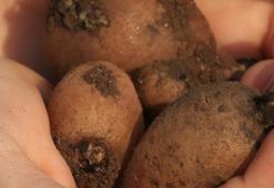 'Beyaz altın' olarak biliyor, tozunu satan parayı kırıyor! ‘Kaçak toplamanın cezası 109 bin lira’