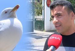 Kadına şiddete müdahale etti! Kavgada ısırılarak koparılan kulağını martı kaptı