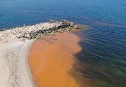 Karadeniz'deki renk değişiminin sırrı çözüldü