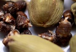 Libidoyu zıplatıyor! İşte afrodizyak etkisi ile cinsel gücü artıran besinler...